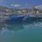 Top 5 Best Courses to Study in Malta 2025 for Nepali Students