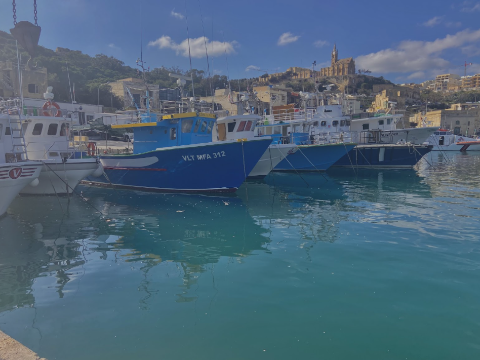 Top 5 Best Courses to Study in Malta 2025 for Nepali Students